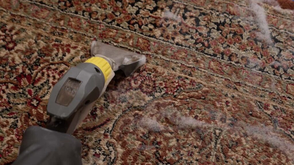 Carpet Cleaning - Clean Fanatics