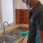 Pest Control Services - Clean Fanatics