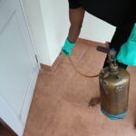 Pest Control Services - Clean Fanatics