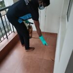 Pest control services - clean fanatics