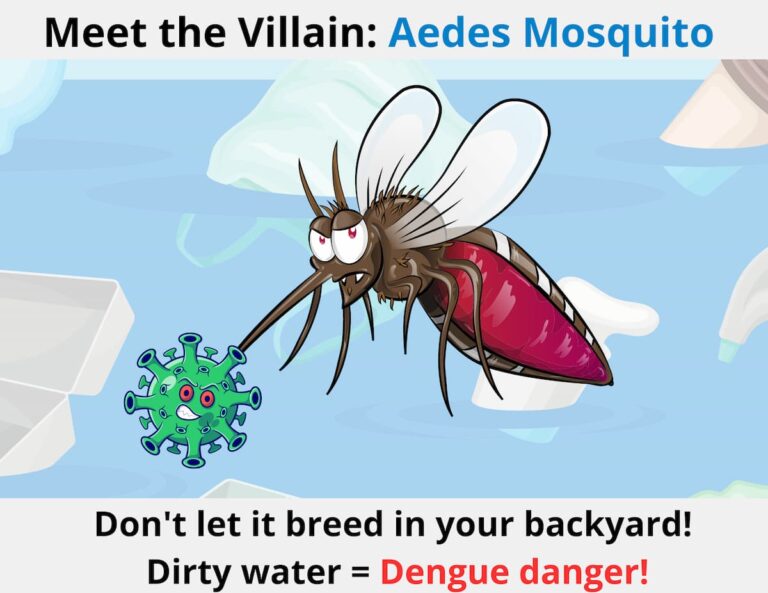 Aedes Mosquito