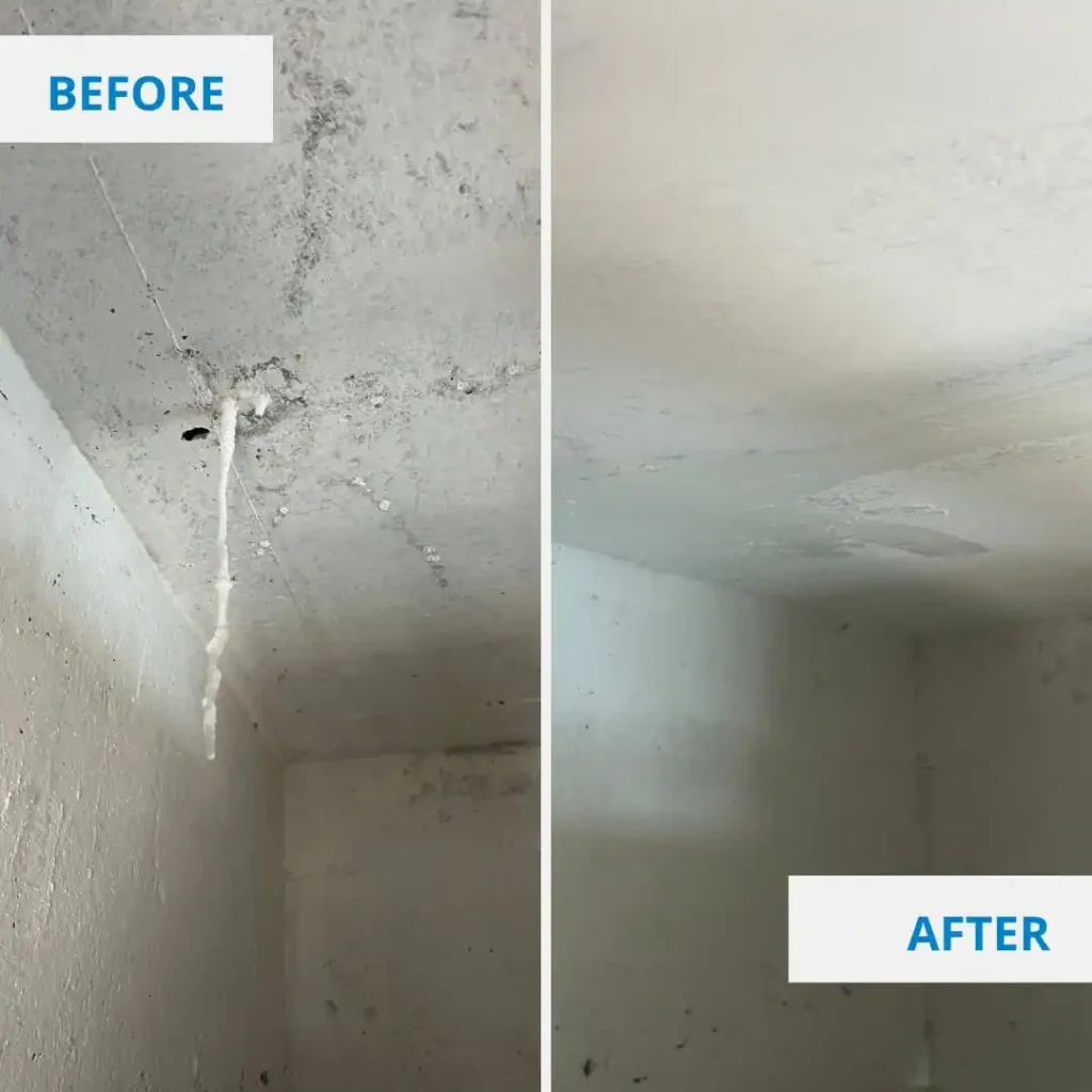 Waterproofing Before and After - Clean Fanatics